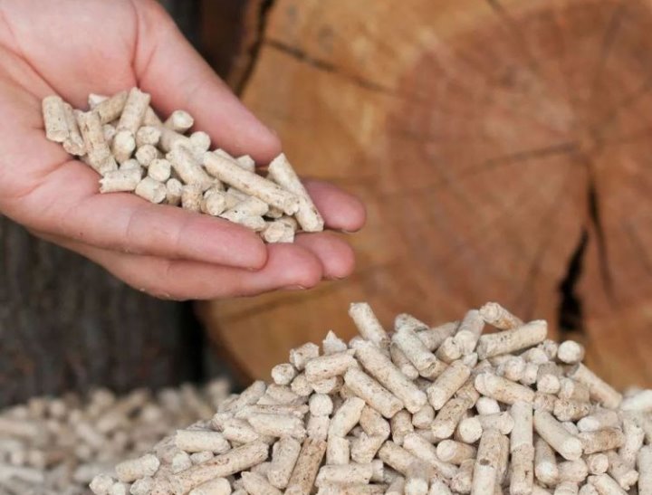 Можно неделю не подбрасывать в котел? В Брестском ГПЛХО рассказали о преимуществах отопления пеллетами