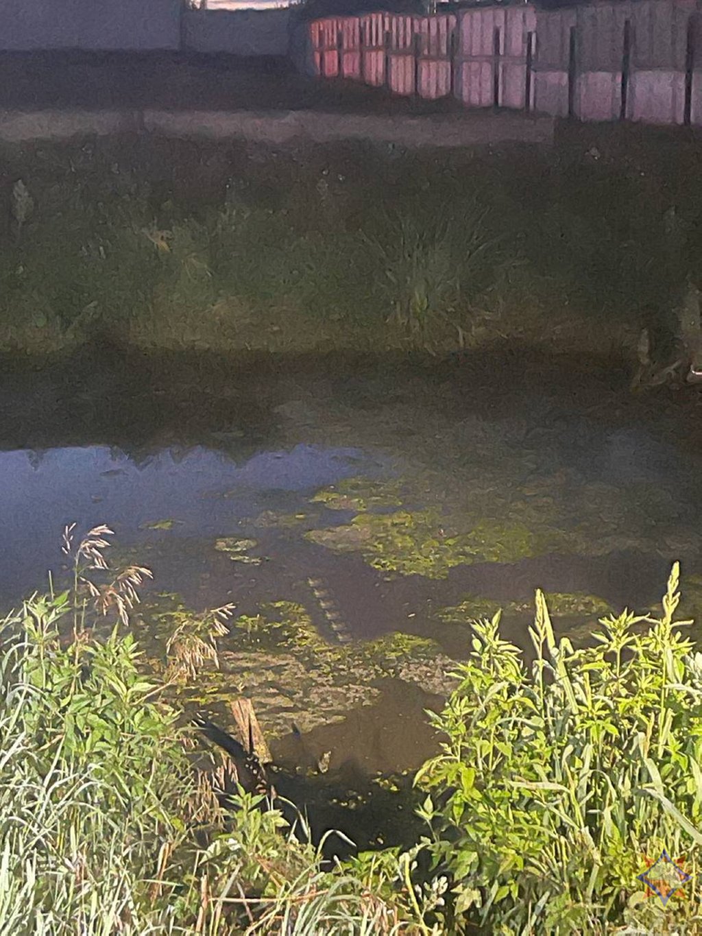 МЧС показало фото с поисковых мероприятий в Каменецком районе