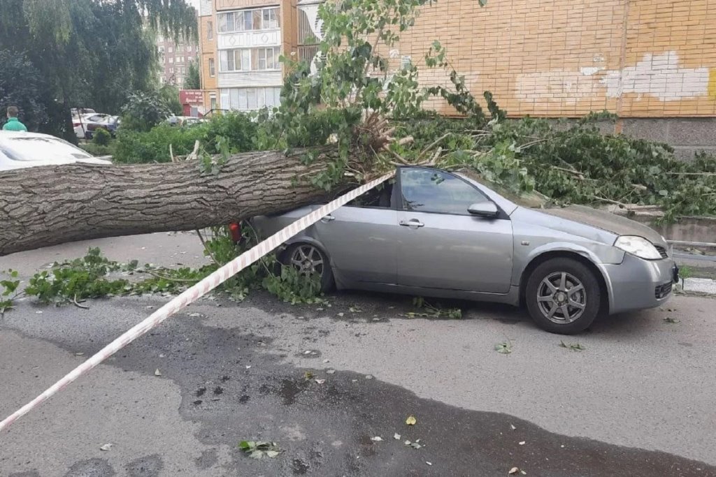 «Дерево спилим, но пока денег нет». Кто ответит за раздавленный в итоге автомобиль?