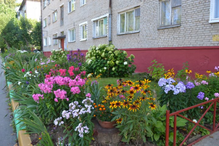 За благоустройство клумбы у подъезда можно получить штраф