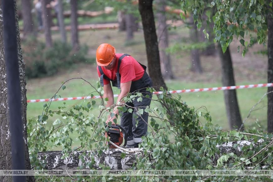 «Все случилось мгновенно». В лагере под Речицей рассказали о разгуле стихии, приведшей к трагедии