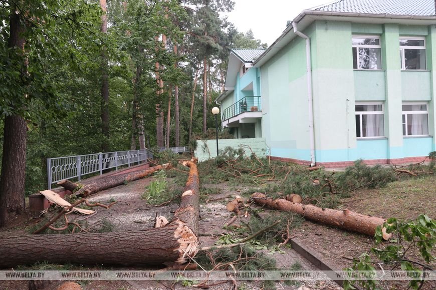 «Все случилось мгновенно». В лагере под Речицей рассказали о разгуле стихии, приведшей к трагедии