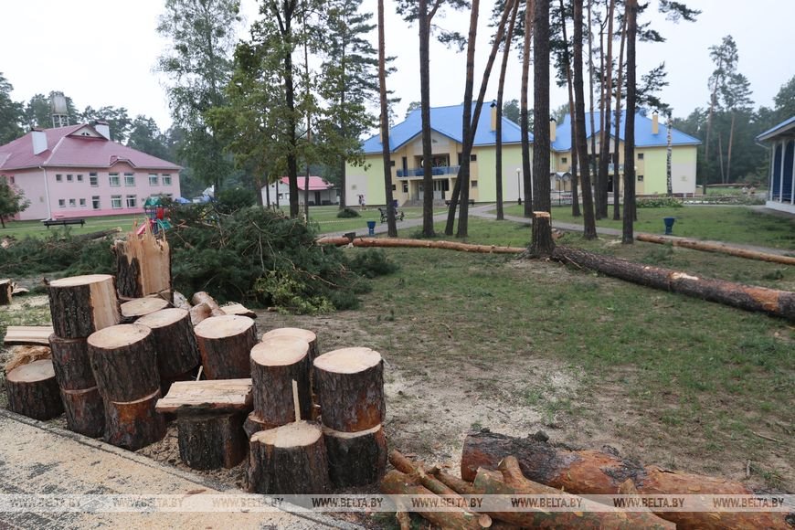 «Все случилось мгновенно». В лагере под Речицей рассказали о разгуле стихии, приведшей к трагедии