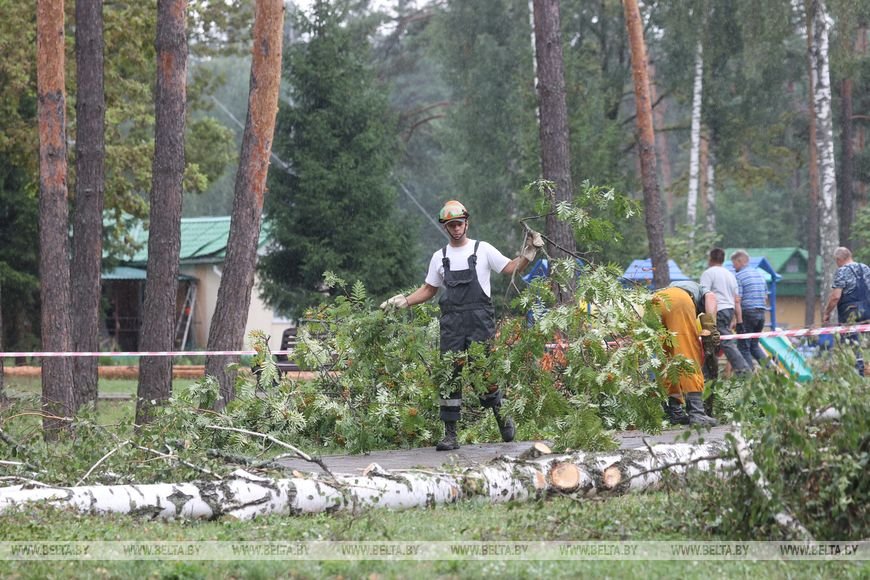 «Все случилось мгновенно». В лагере под Речицей рассказали о разгуле стихии, приведшей к трагедии