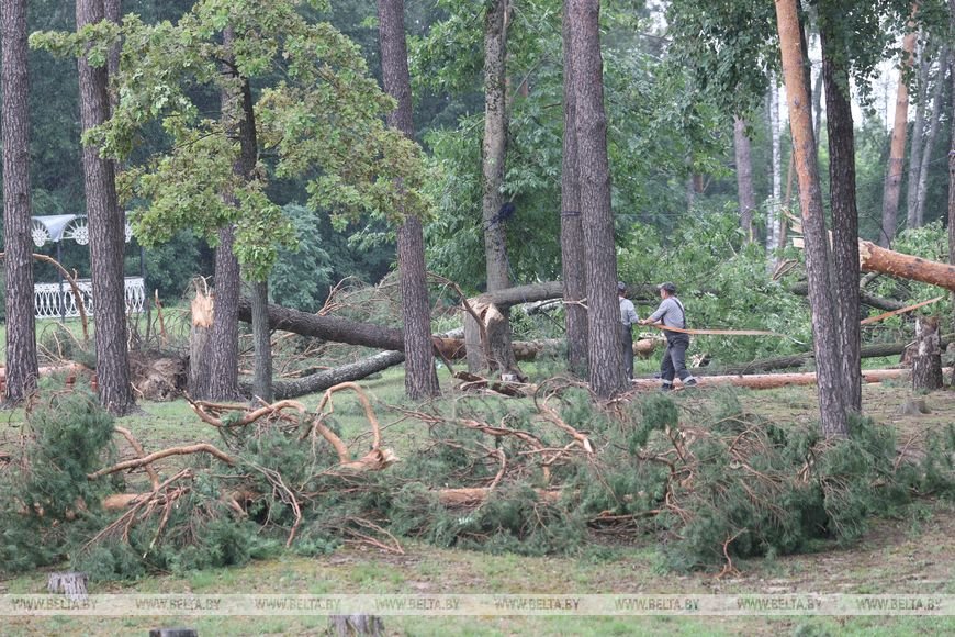 «Все случилось мгновенно». В лагере под Речицей рассказали о разгуле стихии, приведшей к трагедии