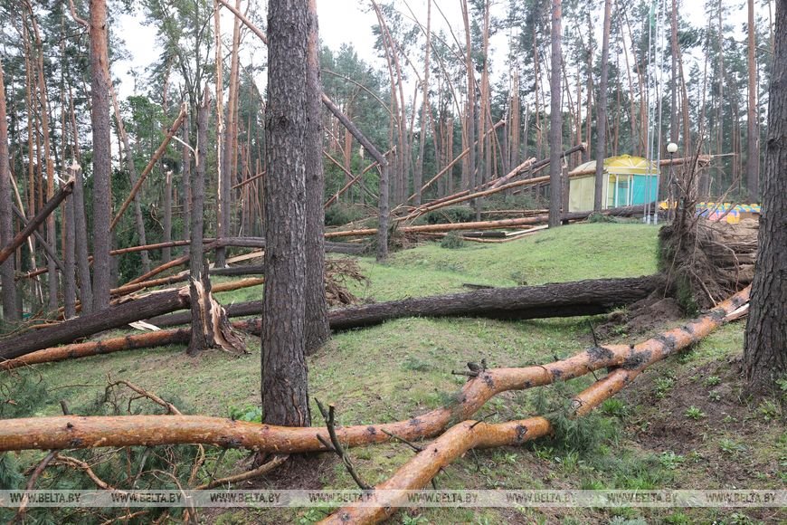 «Все случилось мгновенно». В лагере под Речицей рассказали о разгуле стихии, приведшей к трагедии