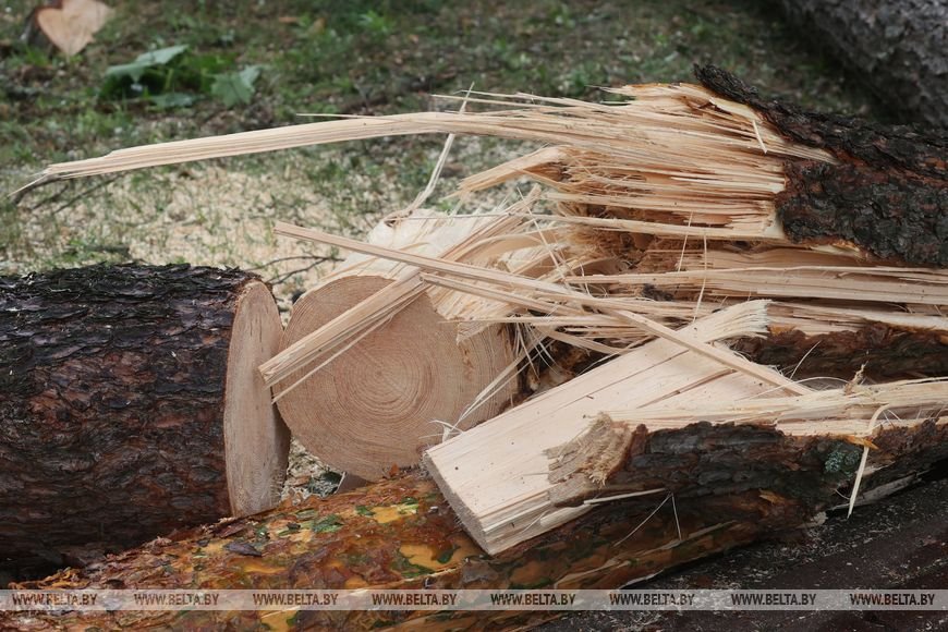 «Все случилось мгновенно». В лагере под Речицей рассказали о разгуле стихии, приведшей к трагедии