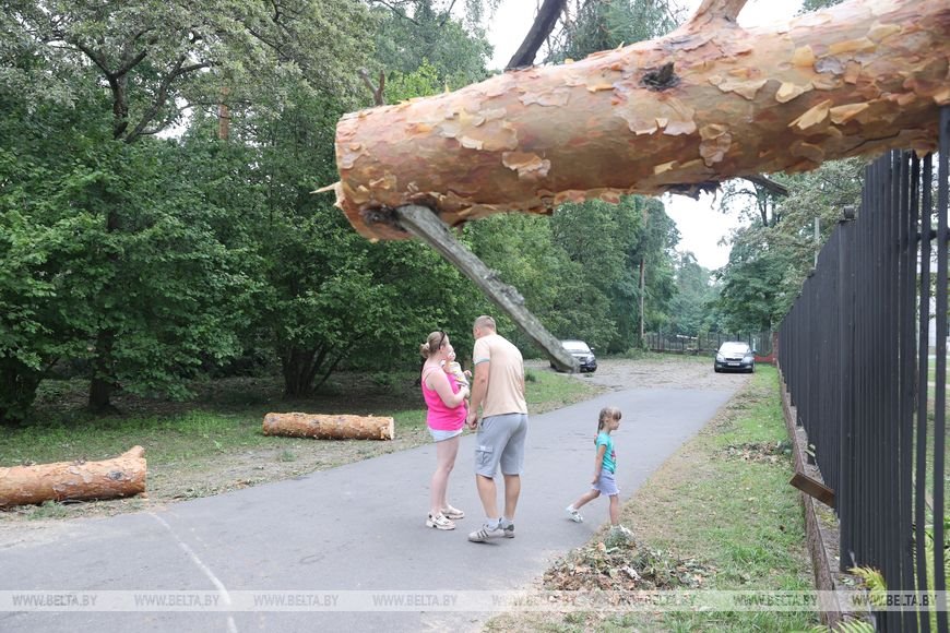«Все случилось мгновенно». В лагере под Речицей рассказали о разгуле стихии, приведшей к трагедии