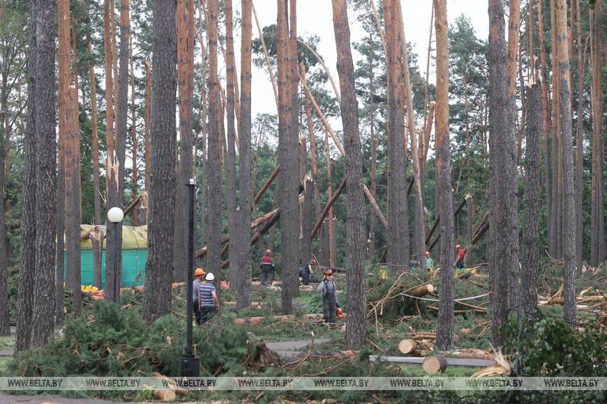 «Все случилось мгновенно». В лагере под Речицей рассказали о разгуле стихии, приведшей к трагедии