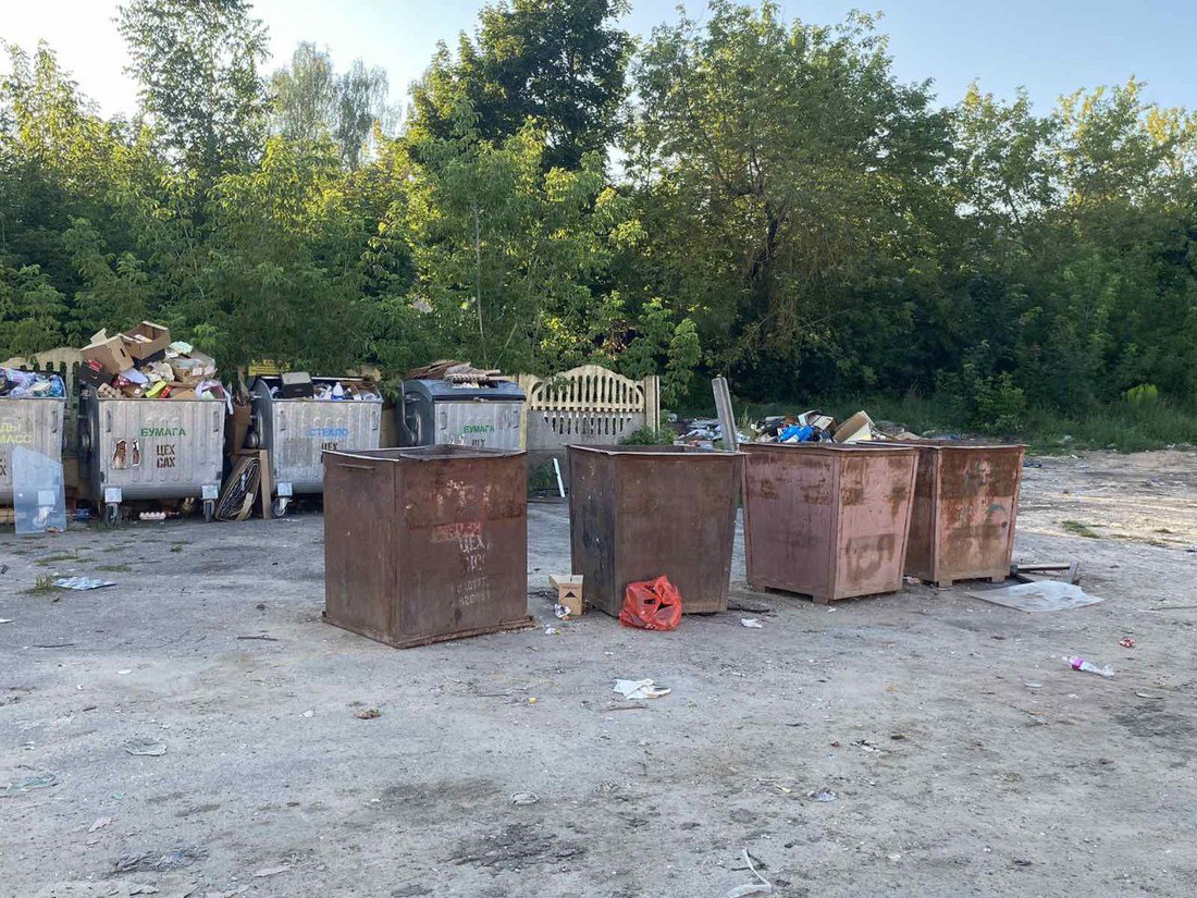 Район Борисова атакуют гадюки. Жильцы спасаются своими силами