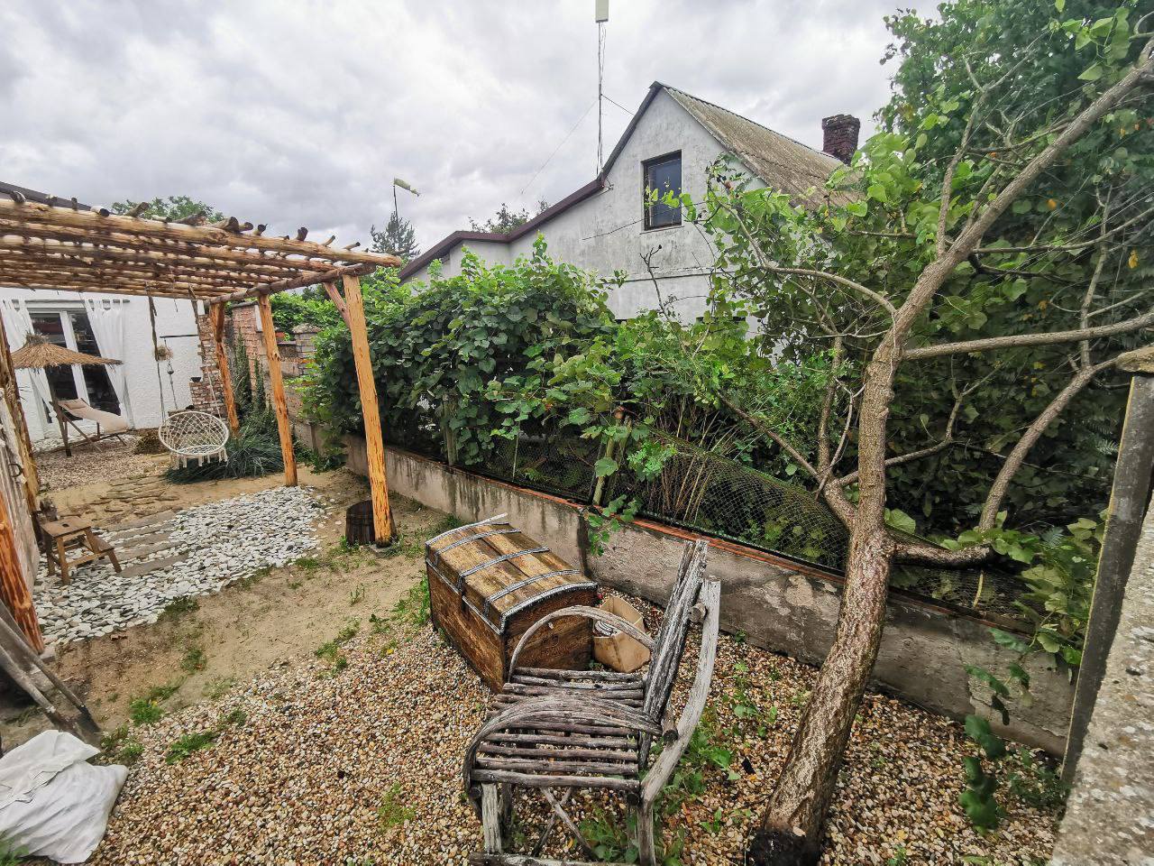 На выходных в Бресте упало 6 деревьев