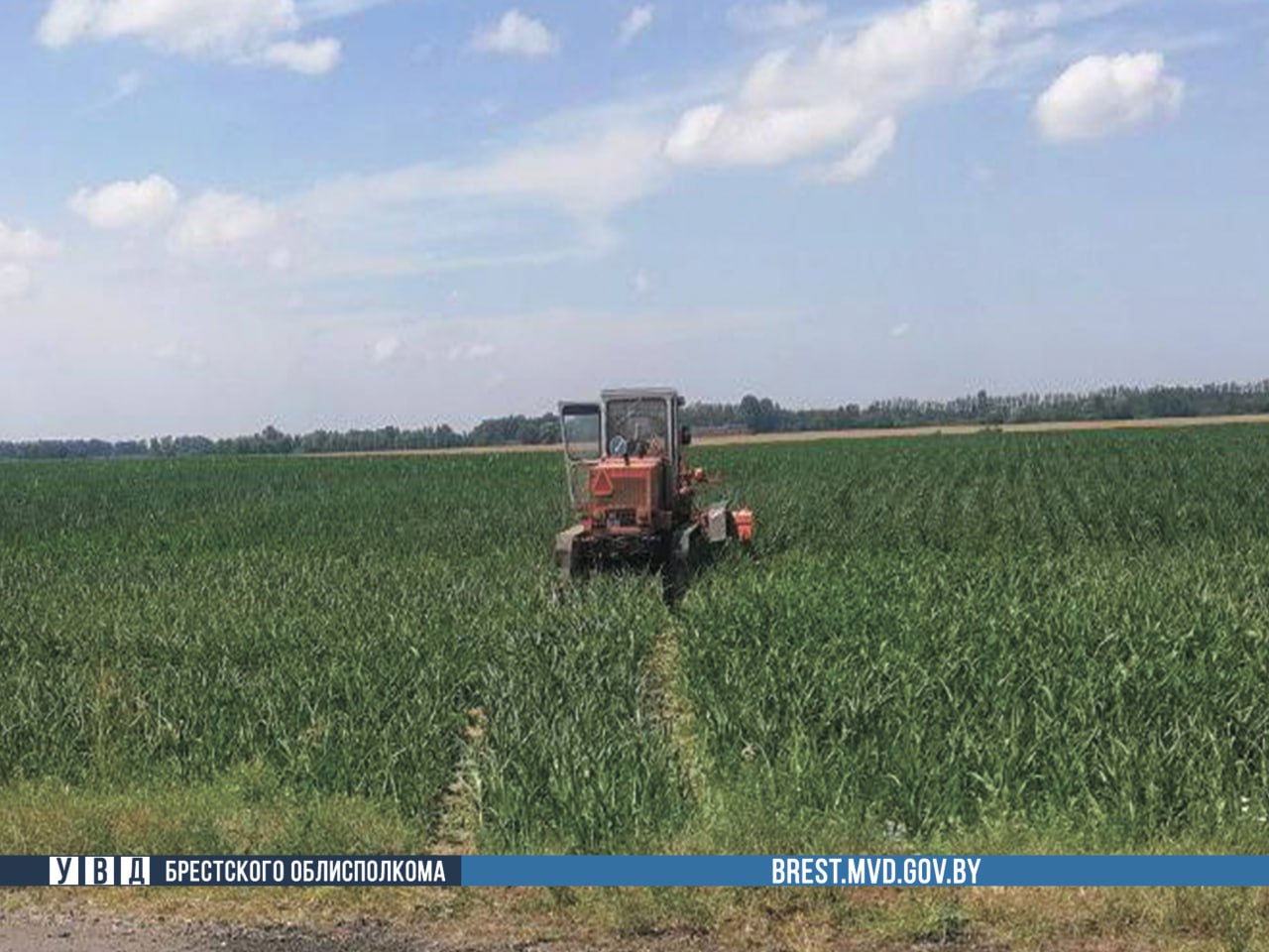 Мать и трое детей пострадали в ДТП. Суд Брестского района вынес приговор водителю грейдера