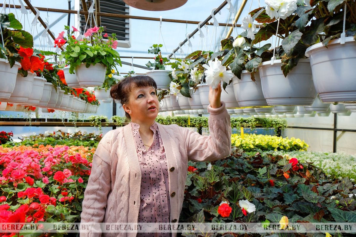 Супруги из Березы показали свой сад