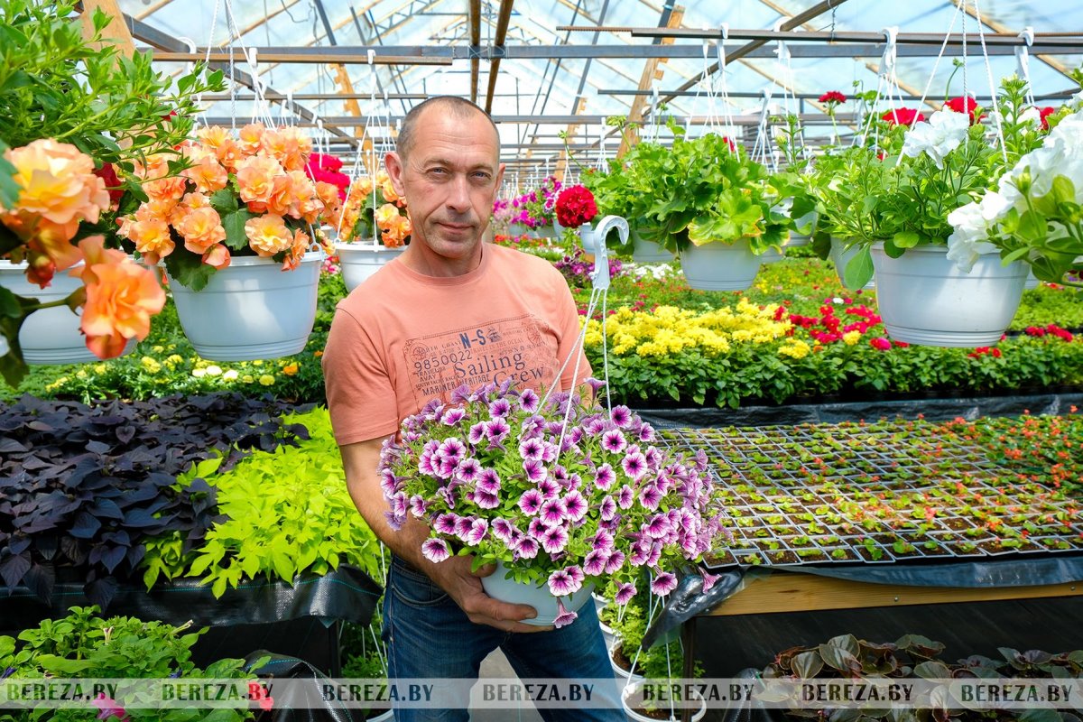 Супруги из Березы показали свой сад