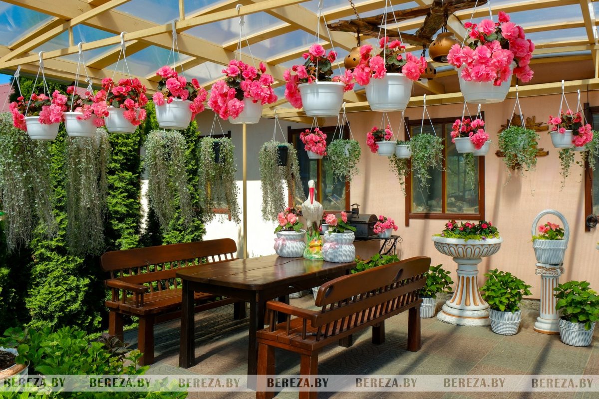 Супруги из Березы показали свой сад