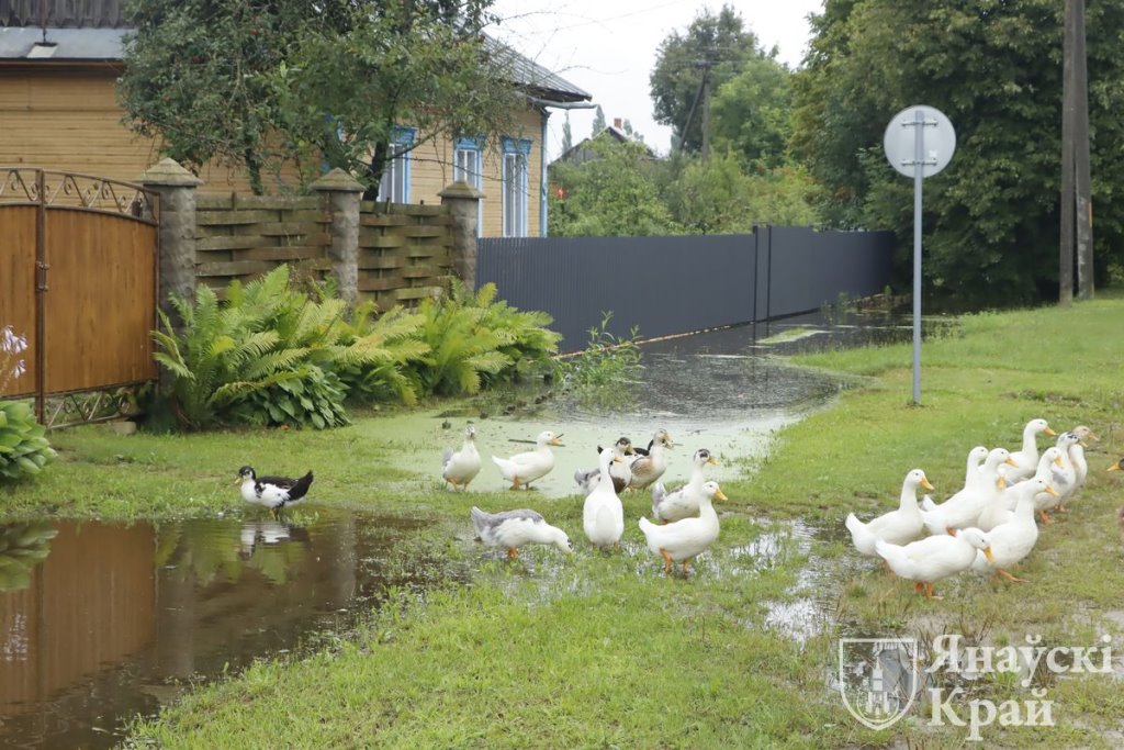 Мотоль подтопило, ведутся работы по спуску воды (Ивановский район)