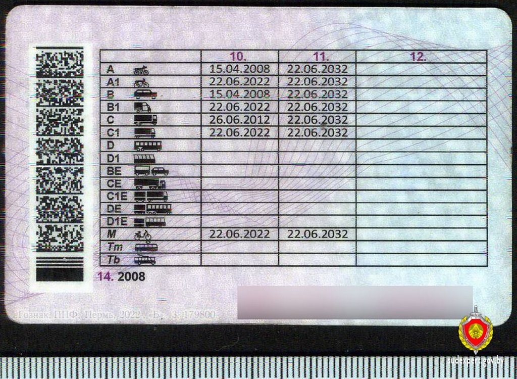 Водитель BMW предъявил «Стреле» поддельные права. Вот, что ему грозит