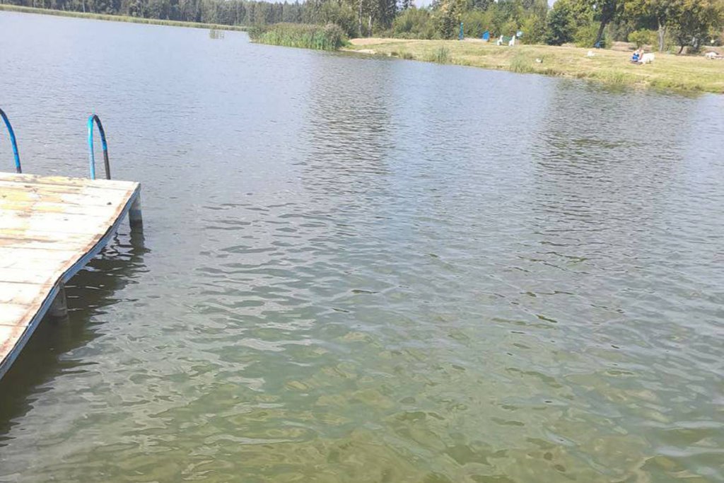 В Барановичах из водохранилища спасен молодой человек — его госпитализировали в реанимацию