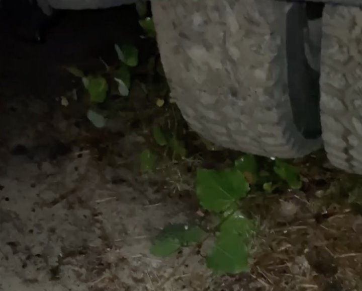 Отдыхающих в палатке на Красном дворе в Бресте чуть не переехал грузовик