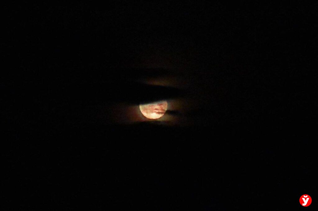 «Осетровую луну» можно наблюдать ночью 19 августа