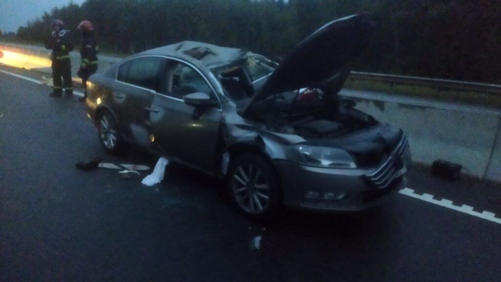 Женщина-пассажир погибла в ДТП с лосем