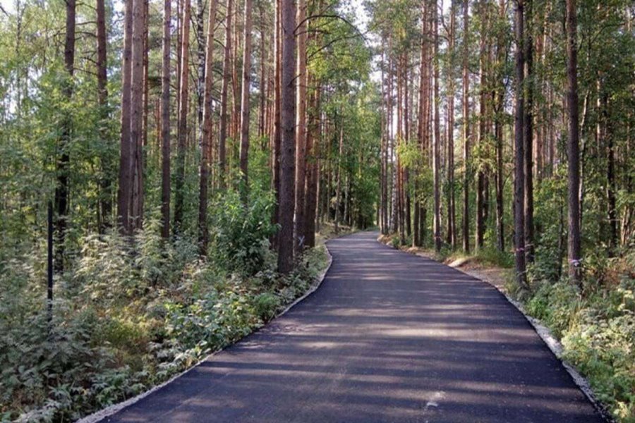 Садовое товарищество заасфальтировало дорогу и оказалось в суде