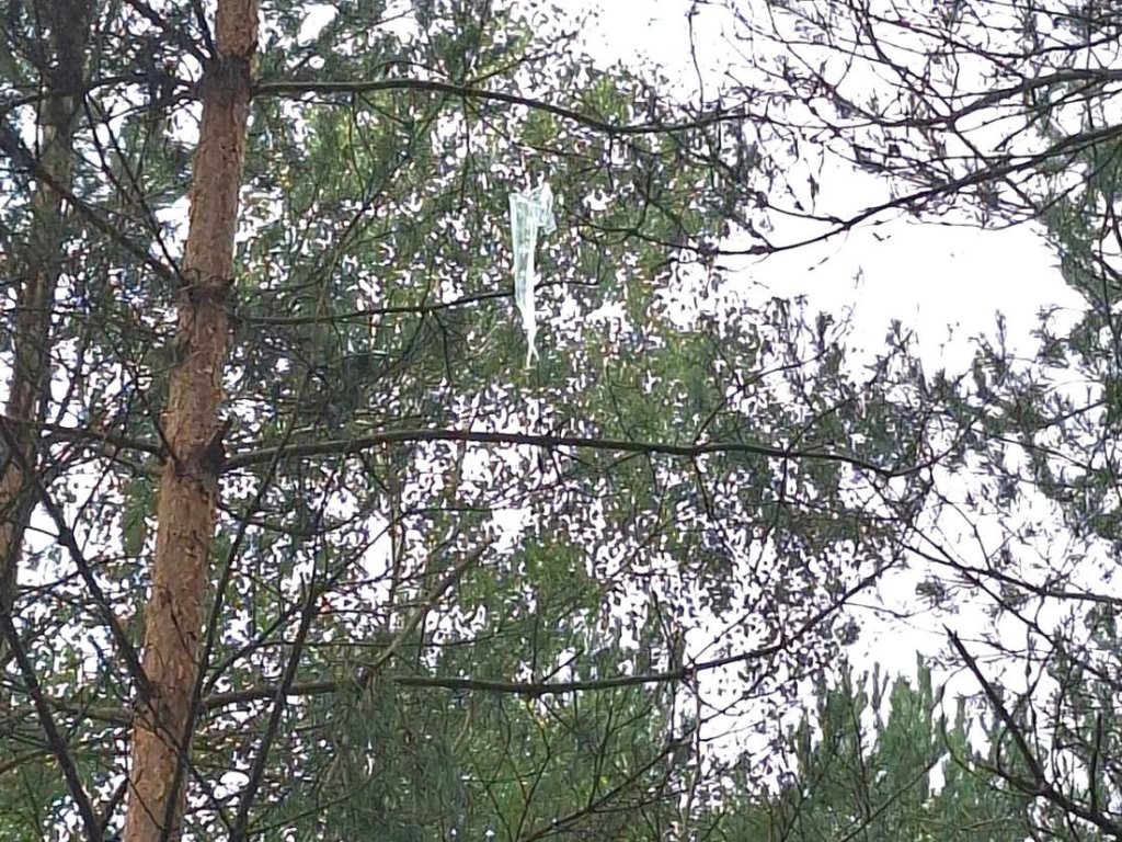 Белорусские сигареты на воздушном шаре пытались незаметно попасть в Литву