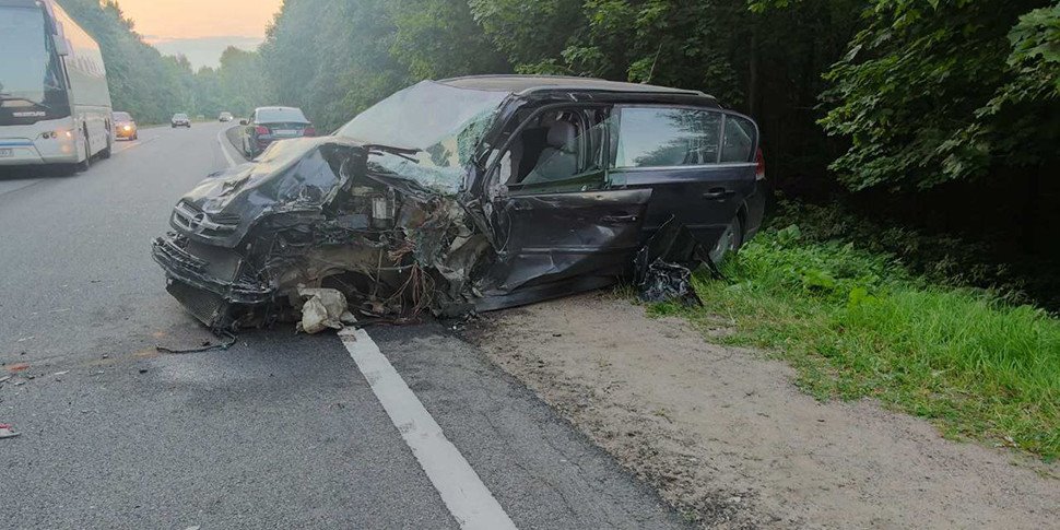 Легковушка с детьми в салоне врезалась во встречный грузовик после наезда на лося