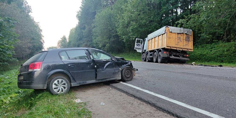 Легковушка с детьми в салоне врезалась во встречный грузовик после наезда на лося