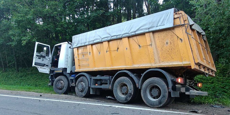 Легковушка с детьми в салоне врезалась во встречный грузовик после наезда на лося
