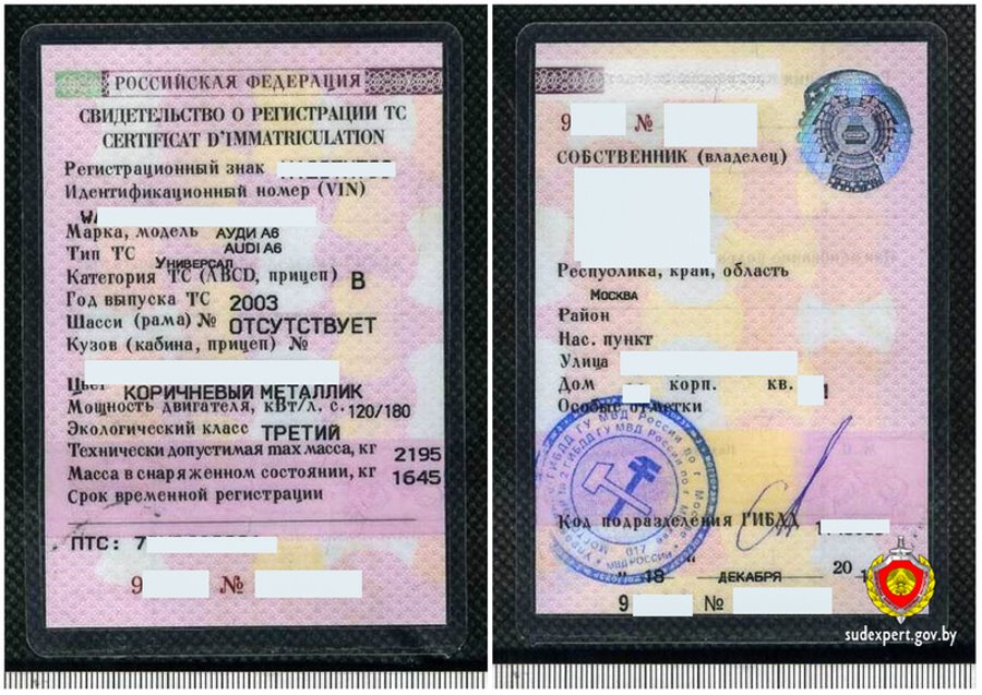 Белорус подарил сыну Audi с поддельными документами