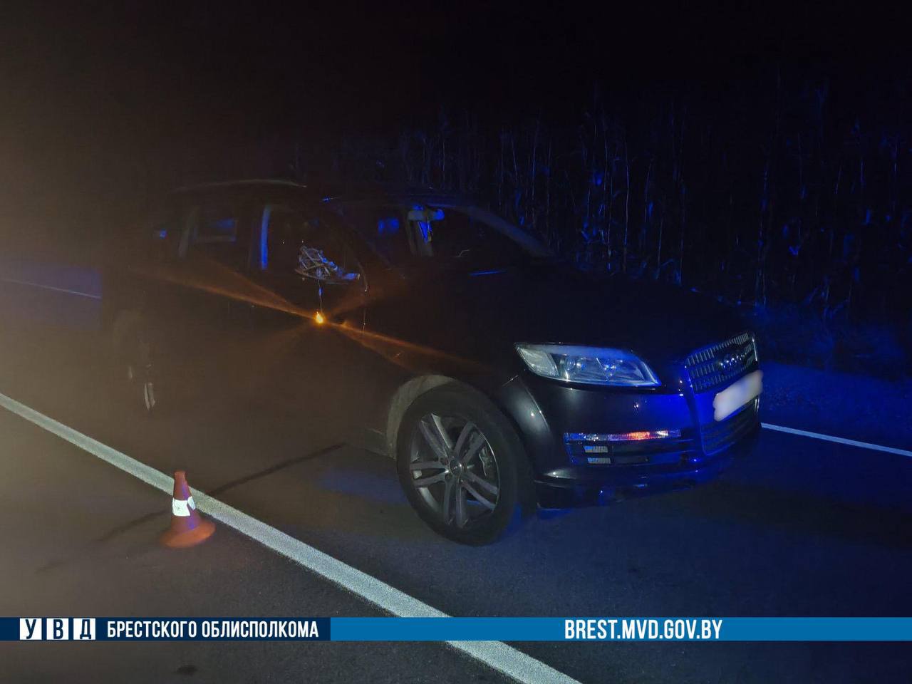 Пошел на обгон и сбил пешехода. Подробности ДТП в Брестской области