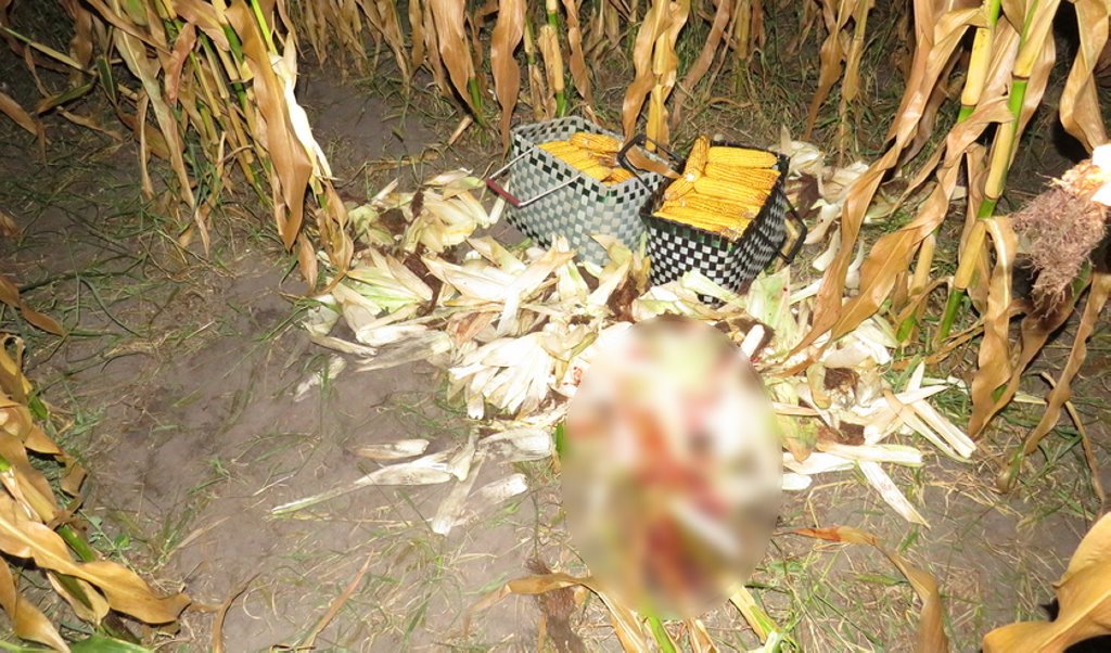 Житель Лунинецкого района застрелил соседа, приняв его за дикого зверя. СК рассказал подробности