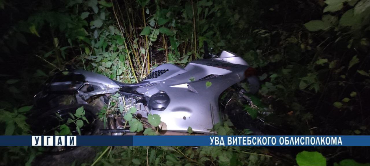 Мотоциклист столкнулся с лосем, оба погибли