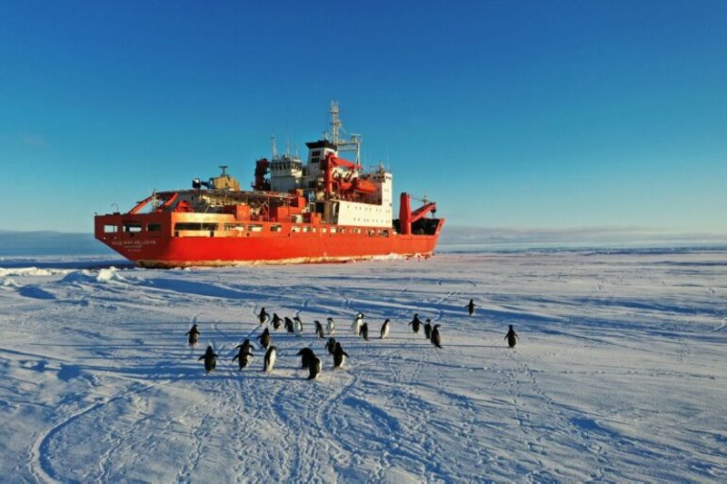 Как главврач брестской поликлиники покорял Антарктиду