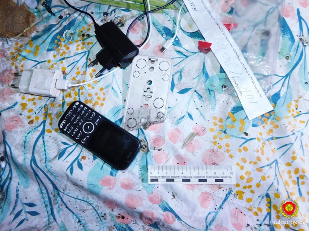 Он просто хотел зарядить телефон. 54-летнего мужчину убило ударом тока