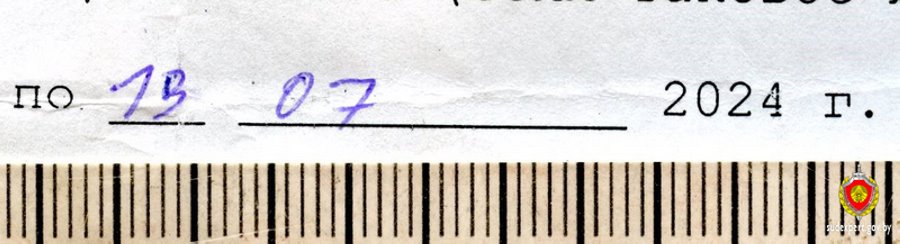 Жительница Брестского района самостоятельно увеличила срок своего «пребывания» в ИВС на шесть дней