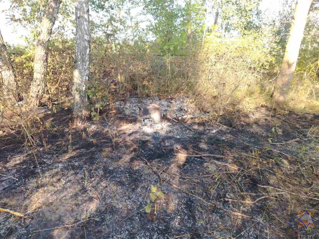 В Березовском районе женщина погибла в огне. Труп нашли на месте горения сухой травы