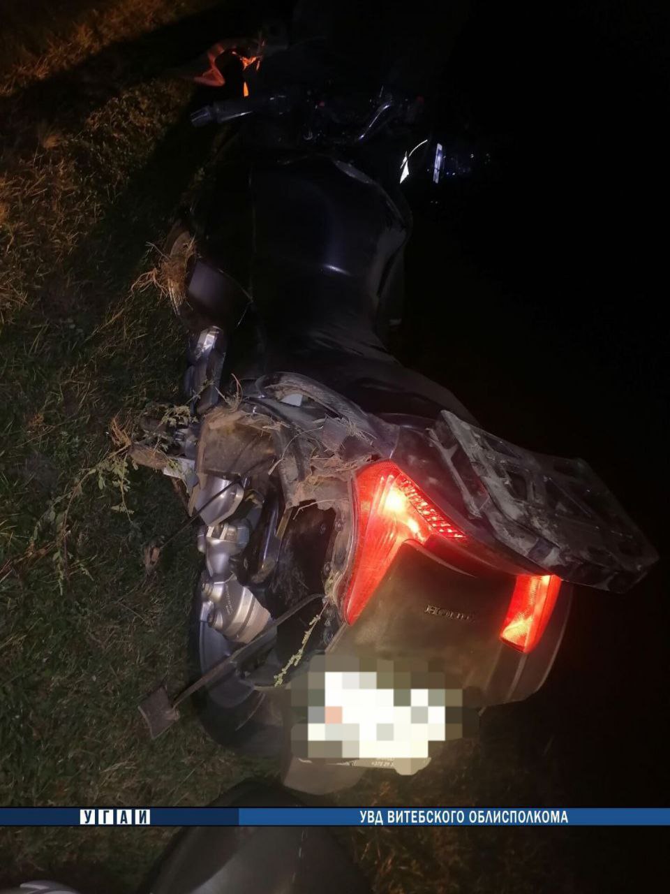 На трассе М1 мотоциклист наехал на сбитого лося