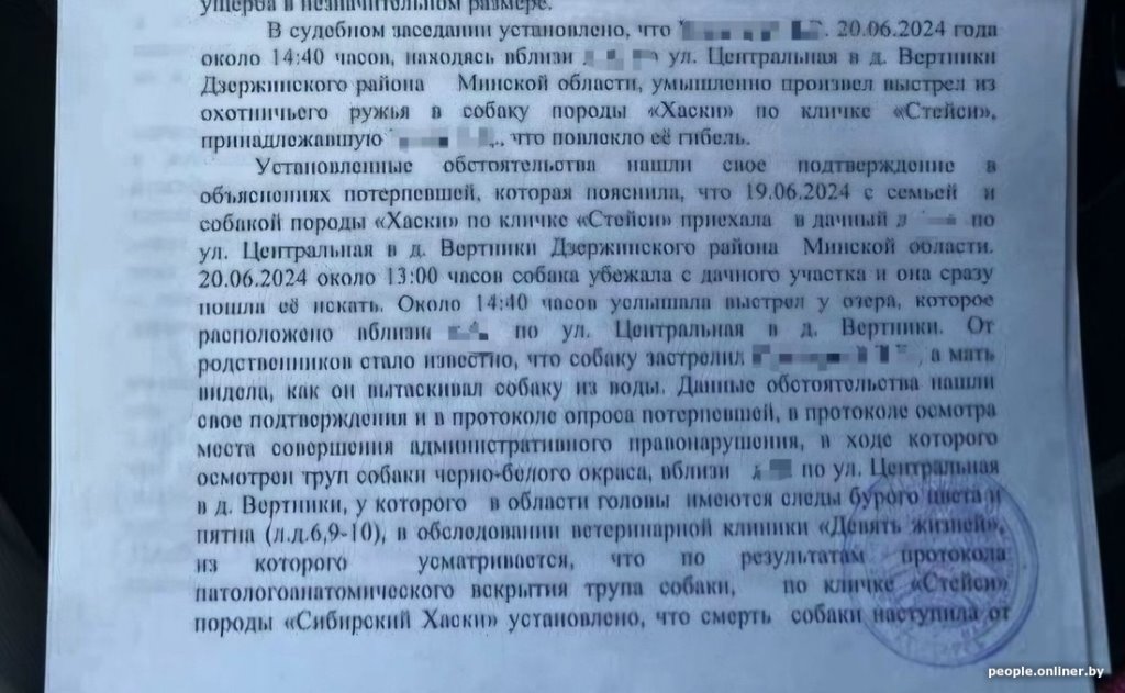 «Зарядил ружье первым попавшимся патроном». Узнали, чем закончилась история с застреленной хаски