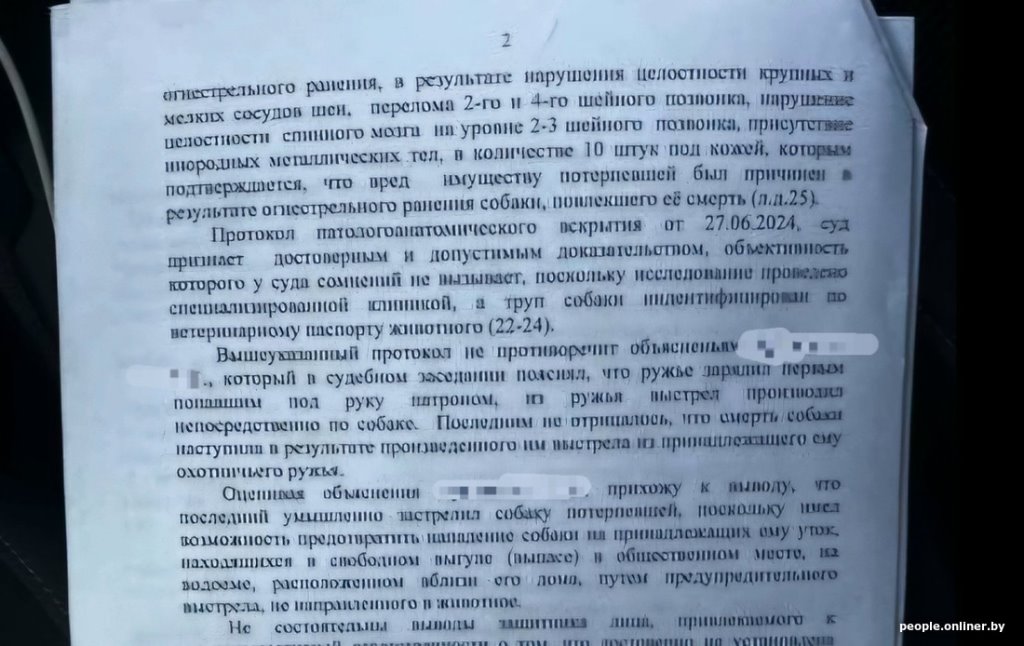 «Зарядил ружье первым попавшимся патроном». Узнали, чем закончилась история с застреленной хаски