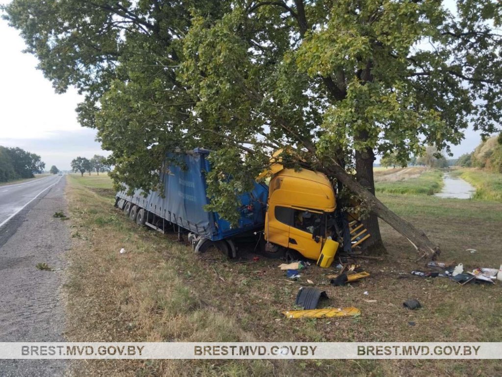 В Столинском районе водитель грузовика уснул за рулем и врезался в дерево