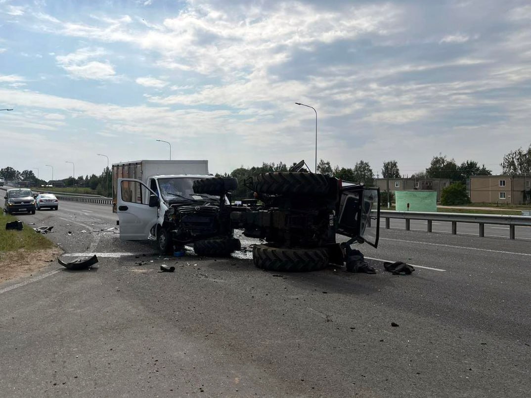 Трактор с телятами столкнулся с грузовиком