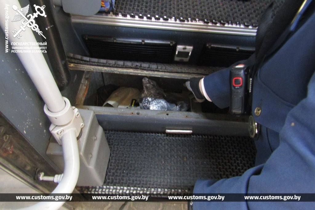 Брестские таможенники обнаружили 19 королевских питонов в рейсовом автобусе из Польши