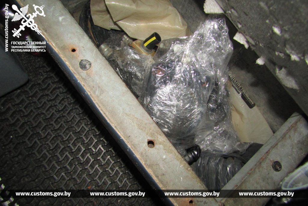 Брестские таможенники обнаружили 19 королевских питонов в рейсовом автобусе из Польши