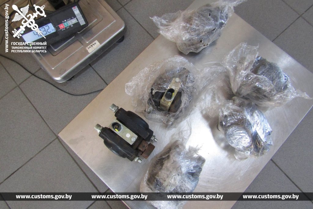 Брестские таможенники обнаружили 19 королевских питонов в рейсовом автобусе из Польши