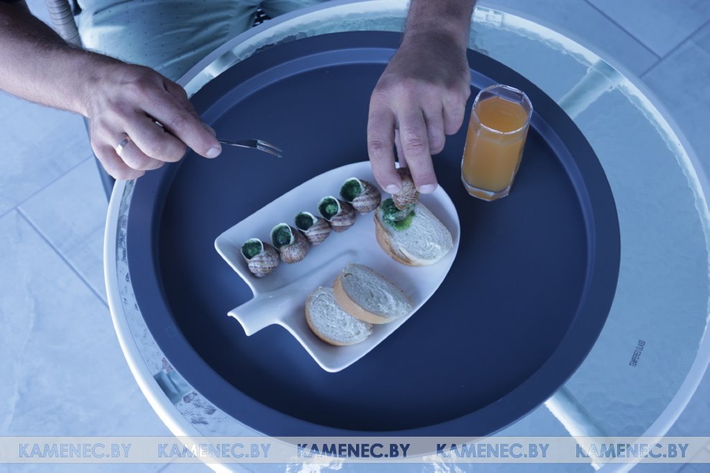 В Каменецком районе создали ферму с улитками, мясо которых употребляют в дорогих ресторанах