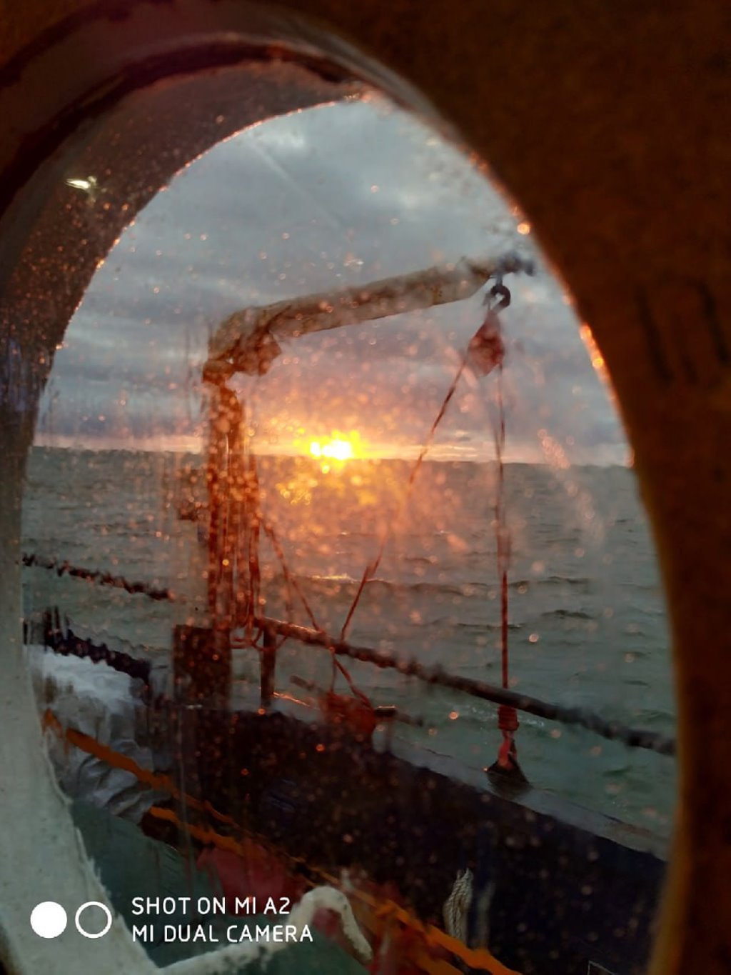 «Вовремя я его раскусила». Белоруска о том, как разводят на деньги на сайтах знакомств