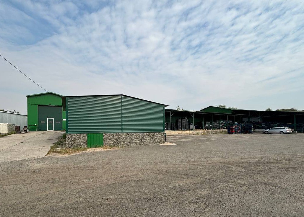 Компания, закупающая ягоды и грибы, не заплатила 2 млн рублей налогов