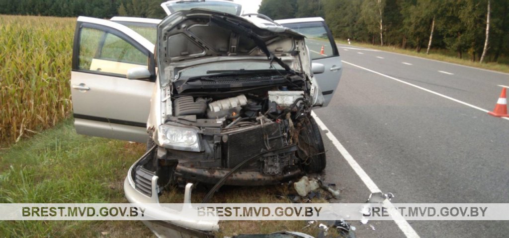 Два автомобиля столкнулись лоб в лоб в Каменецком районе